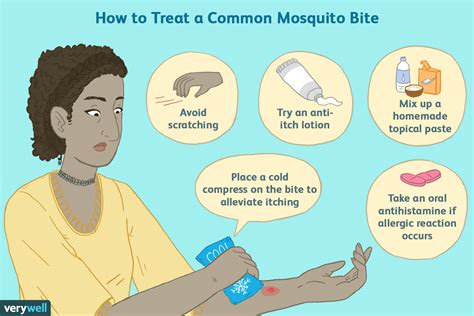 What Cures Mosquito Bites