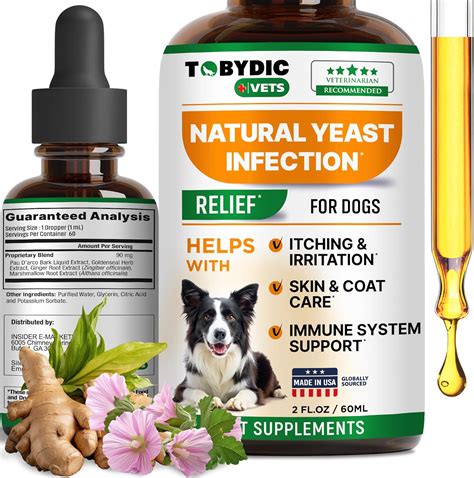 What Cures Yeast Infection In Dogs