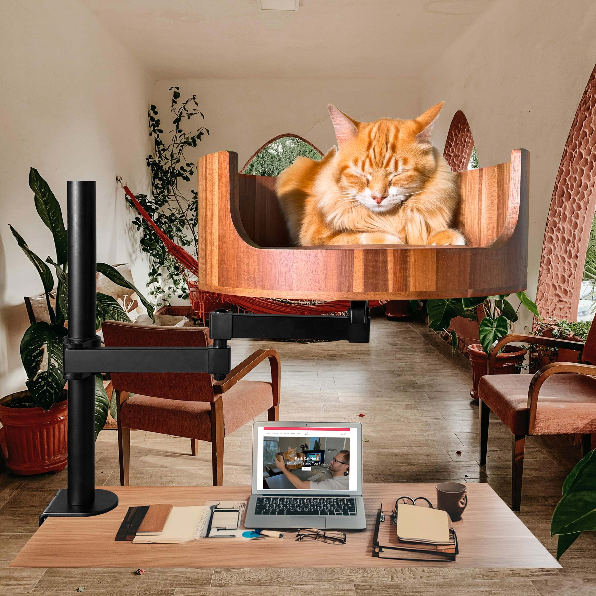 What Do Cat Zoomies Look Like? A Guide To Feline Frenzy