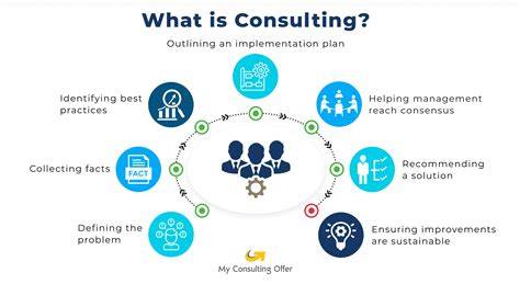 What Do Consulting Companies Do