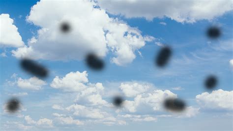 What Do Floaters Look Like