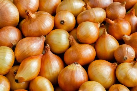What Do I Smell Like Onions