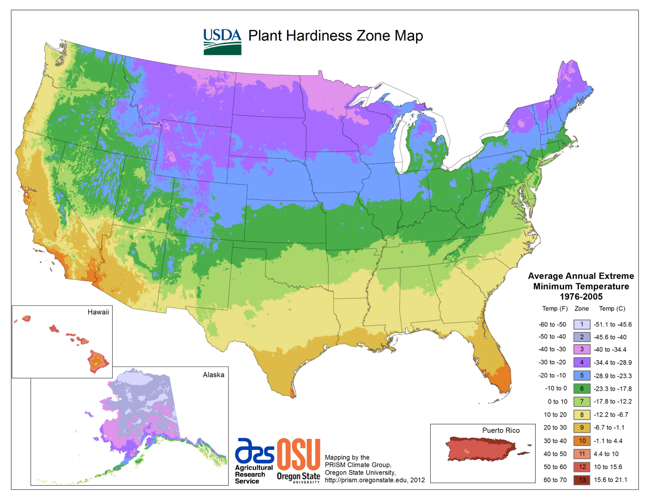 Understanding Tree Zones: A Guide To Choosing The Right Plants