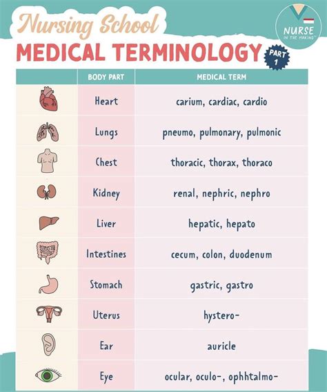What Does Do Mean In Medical Terms