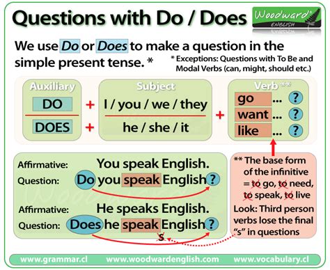 What Does Do Question