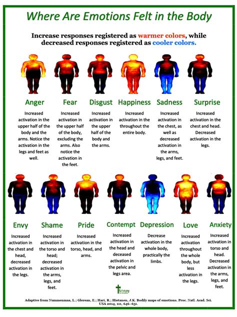 What Does Feel Like Your Body