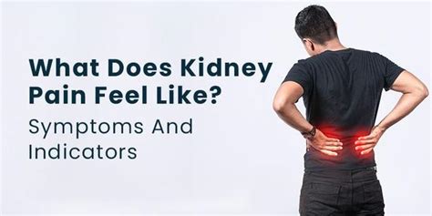 What Does It Feel Like Kidney Pain