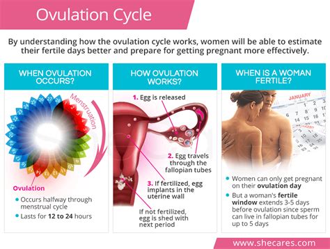 What Does It Feel Like Ovulation