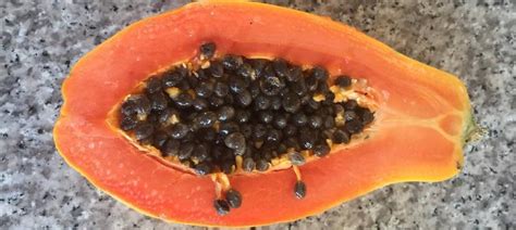 What Does Papaya Taste Like