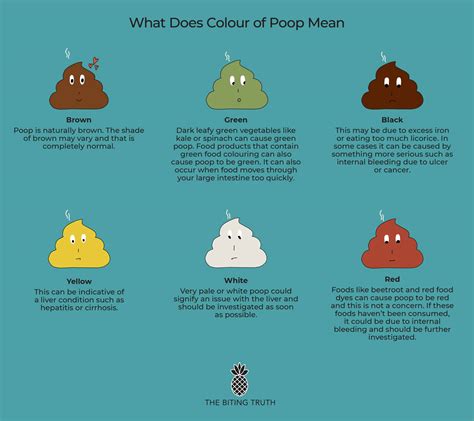 What Does Poop Taste Like Quora