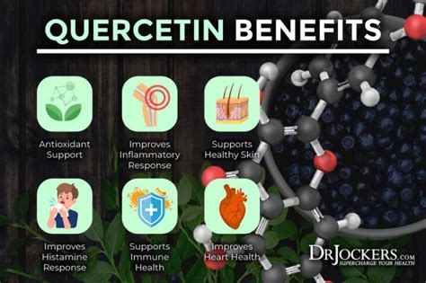 What Does Quercetin Do For The Body