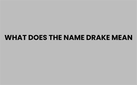 What Does Say Drake Mean