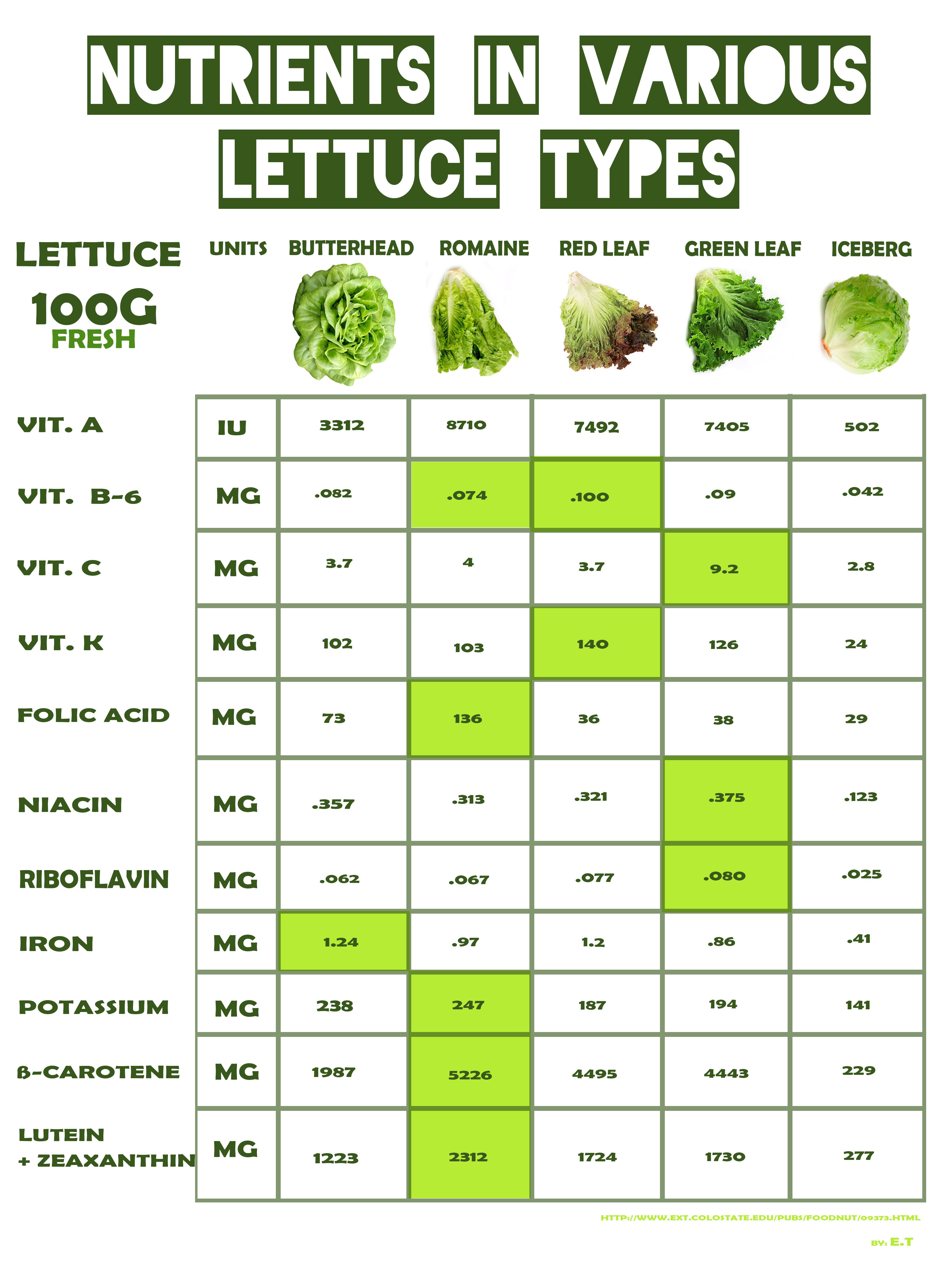 Can Fish Eat Lettuce? A Guide To Safe Greens For Your Aquarium