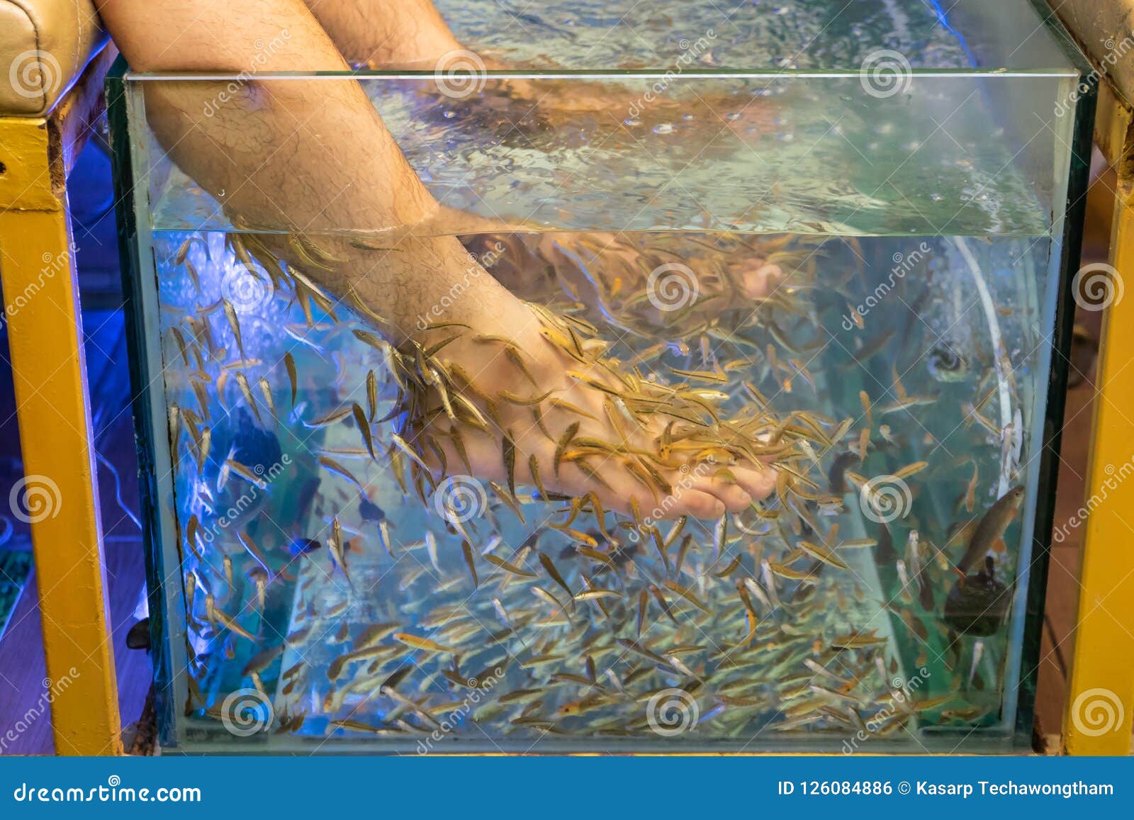 What Fish Eat Your Skin? The Truth Behind Spa Treatments