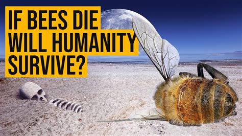 What Happens If Bees Go Extinct
