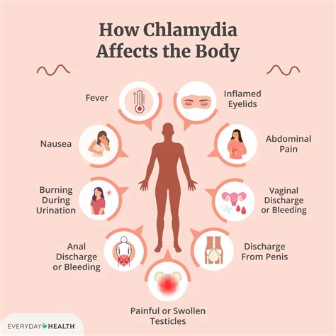 What Happens If Chlamydia Goes Untreated