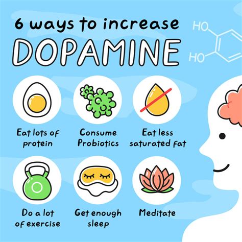 What Increases Dopamine Levels