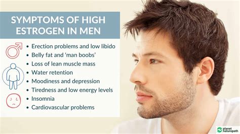 What Increases Estrogen In Men