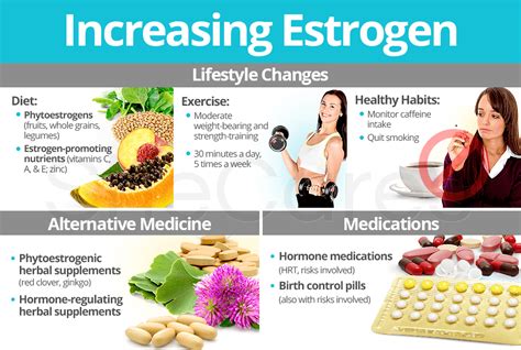What Increases Estrogen In Women