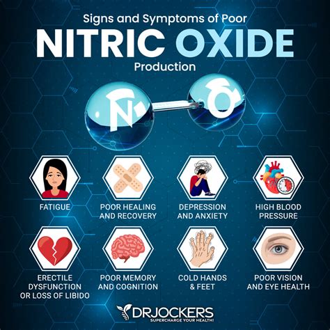 What Increases Nitric Oxide
