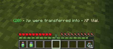 What Increases Xp In Minecraft