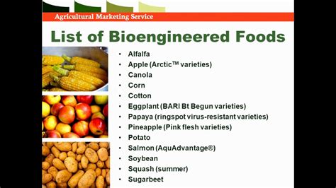 What Is Bioengineered Food Ingredient