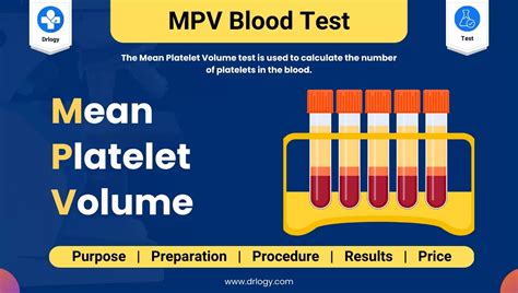 What Is Blood Work Mpv