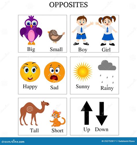 What Is The Opposite Of Short