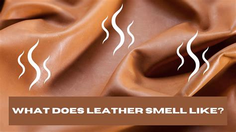 What Is The Smell Of Leather