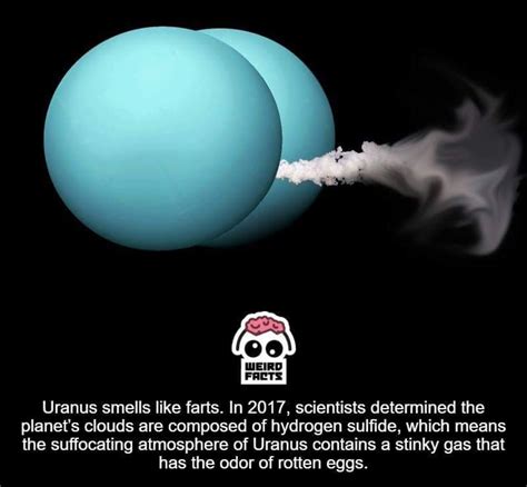 What Is The Smell Of Uranus