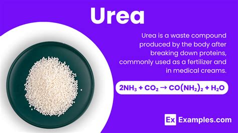 What Is The Smell Of Urea