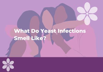 What Is The Smell Of Yeast