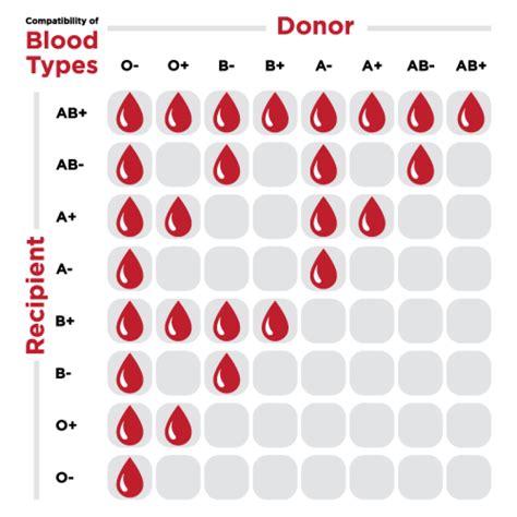 What Is Universal Blood Type