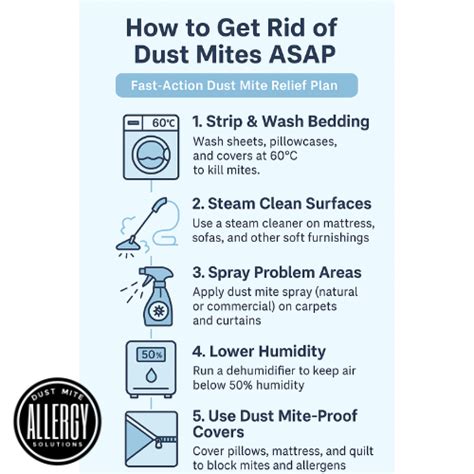 What Kills Dust Mites