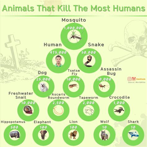 What Kills Humans The Most