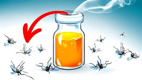 What Kills Mosquitoes Inside House