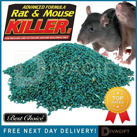 What Kills Rats