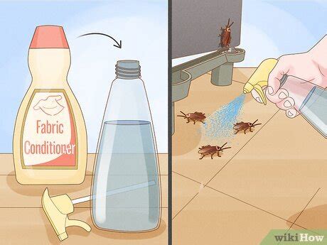 What Kills Roaches Overnight