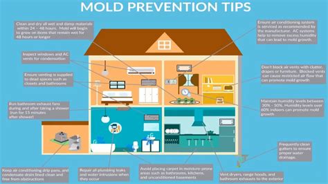 What Prevents Mold Growth