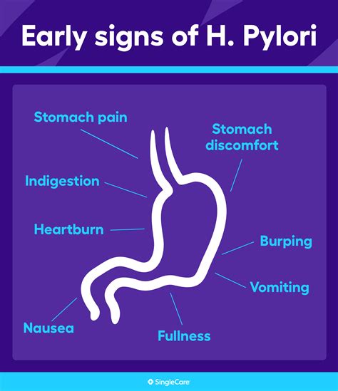 What Symptoms Of H Pylori