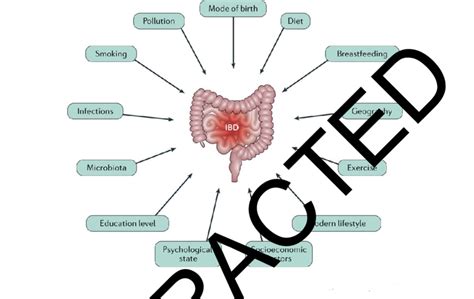 What Triggers Ibd