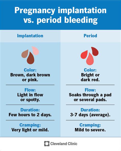 When Does Happen Implantation Bleeding