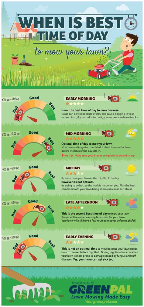 When Is Best Time To Mow Lawn