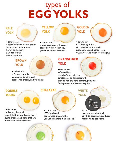When To Avoid Egg Yolk