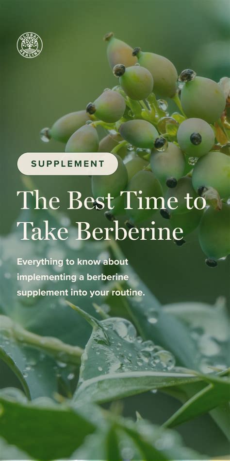 When To Take Berberine