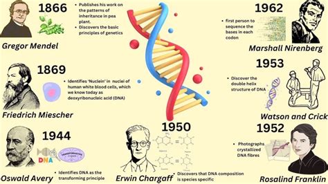 When Was Dna Discovered For Crime