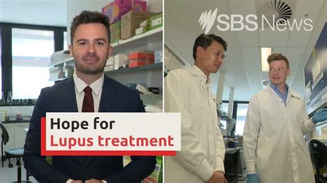 When Was Lupus Discovered