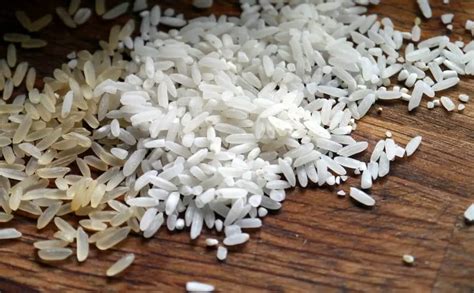 When Was Rice Discovered