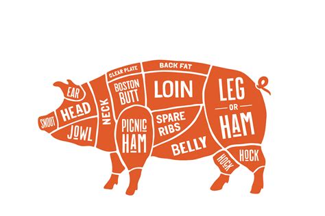 Where Does Bacon Come From Pig