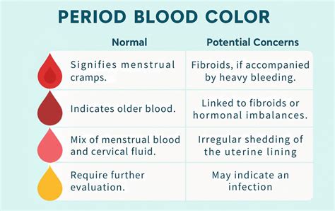 Where Does Blood Come From In Period